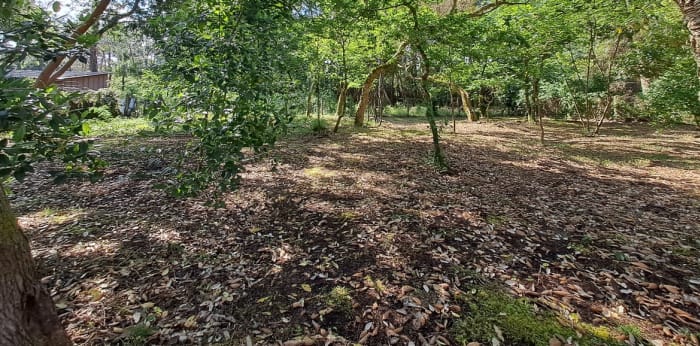 Image 2 sur 3 - Maison/villa  ·  Vente · Labenne (40530) · 6 pièces · 185m²