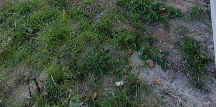 Image 4 sur 13 - Appartement  ·  Vente · Villiers Sur Orge (91700) · 3 pièces · 60m²