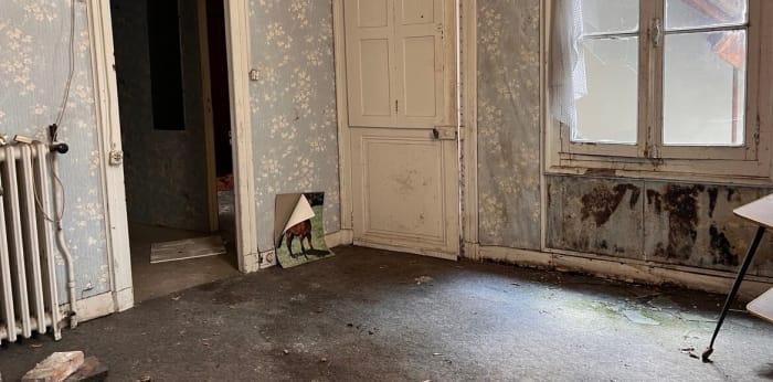 Image 4 sur 6 - Boutique  ·  Vente · Pau (64000) · 7 pièces · 194m²