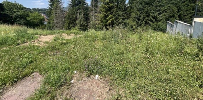 Image 2 sur 3 - Terrain  ·  Vente · Niederbronn Les Bains (67110)