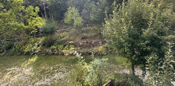 Image 8 sur 8 - Appartement  ·  Vente · Allos (04260) · 1 pièce · 25m²