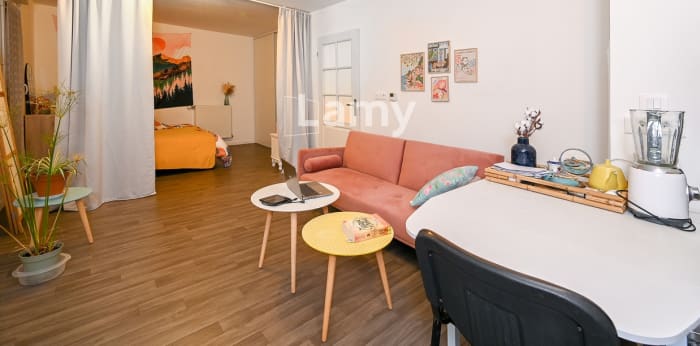 Image 3 sur 14 - Appartement  ·  Vente · St Jean De La Ruelle (45140) · 1 pièce · 37m²