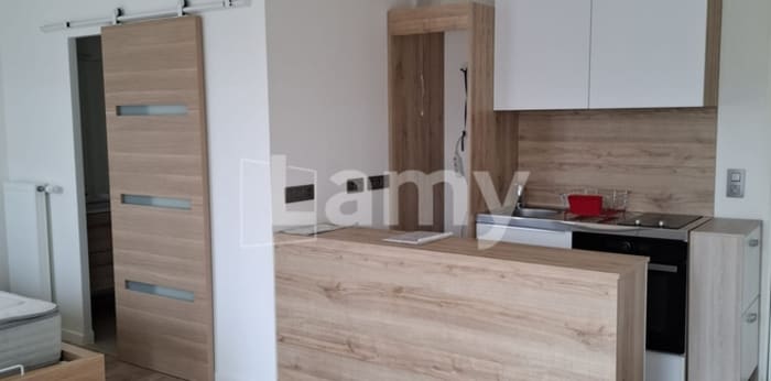 Image 5 sur 8 - Appartement  ·  Location · Le Plessis Bouchard (95130) · 1 pièce · 30m²