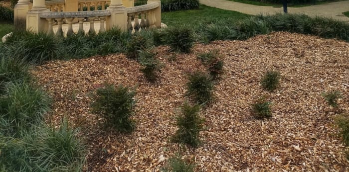 Image 1 sur 2 - Appartement  ·  Location · Villiers Sur Marne (94350) · 3 pièces · 62m²