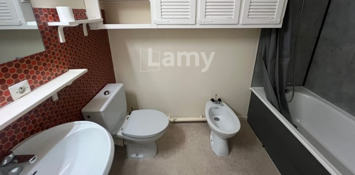 Image 4 sur 8 - Appartement  ·  Location · Lyon (69007) · 1 pièce · 30m²