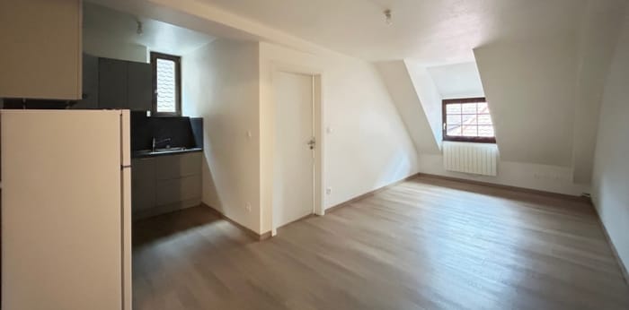 Image 2 sur 15 - Appartement  ·  Location · Ribeauville (68150) · 2 pièces · 42m²