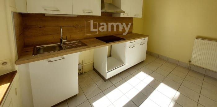 Image 3 sur 8 - Appartement  ·  Location · Grenoble (38000) · 2 pièces · 53m²