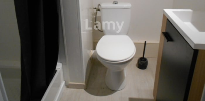 Image 8 sur 12 - Appartement  ·  Location · Montargis (45200) · 2 pièces · 36m²