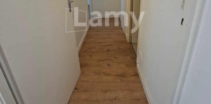 Image 2 sur 5 - Appartement  ·  Location · Lyon (69007) · 2 pièces · 55m²