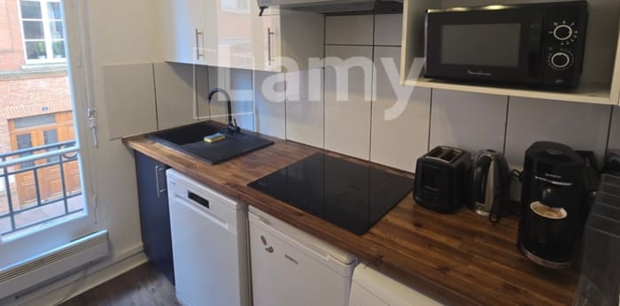Image 3 sur 8 - Appartement  ·  Location · Toulouse (31000) · 2 pièces · 42m²