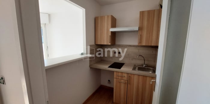 Image 3 sur 5 - Appartement  ·  Location · Haguenau (67500) · 1 pièce · 30m²