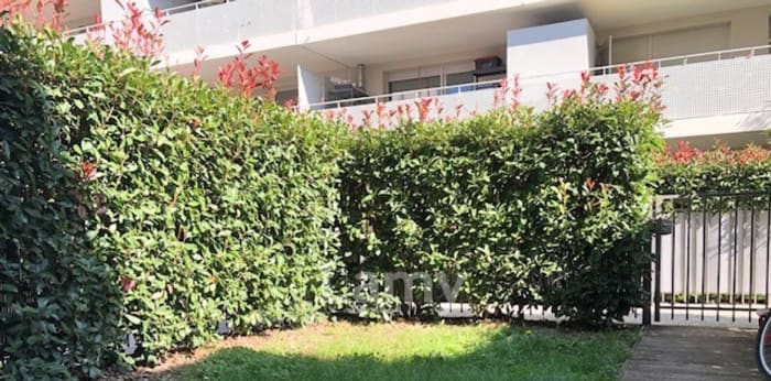 Image 4 sur 11 - Appartement  ·  Location · Toulouse (31400) · 3 pièces · 69m²