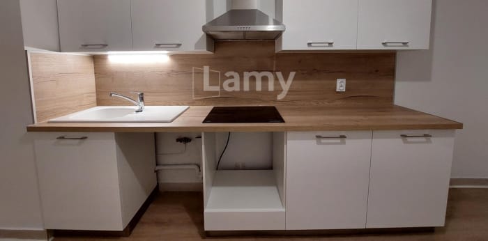 Image 1 sur 10 - Appartement  ·  Location · Grenoble (38100) · 4 pièces · 77m²