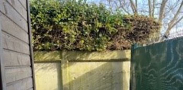 Image 13 sur 17 - Appartement  ·  Location · Talence (33400) · 3 pièces · 51m²