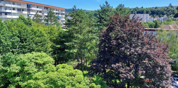 Image 2 sur 4 - Appartement  ·  Location · Besancon (25000) · 3 pièces · 58m²