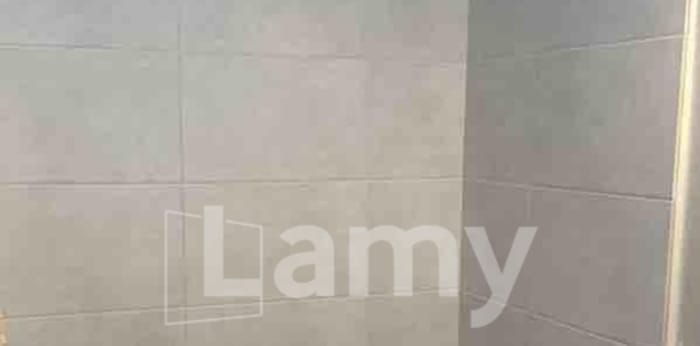 Image 3 sur 6 - Appartement  ·  Location · Lyon (69003) · 1 pièce · 33m²