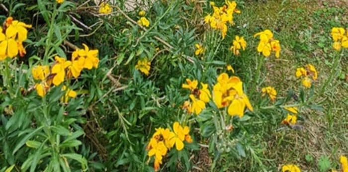 Image 1 sur 5 - Appartement  ·  Location · Royan (17200) · 1 pièce · 27m²