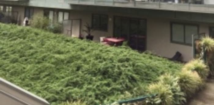 Image 3 sur 4 - Appartement  ·  Location · Lyon (69002) · 2 pièces · 38m²