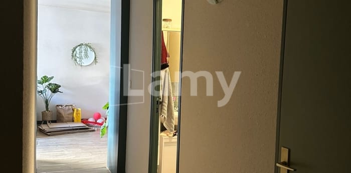 Image 11 sur 12 - Appartement  ·  Location · Limoges (87000) · 2 pièces · 44m²