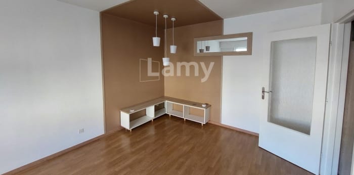 Image 1 sur 5 - Appartement  ·  Location · Haguenau (67500) · 2 pièces · 49m²