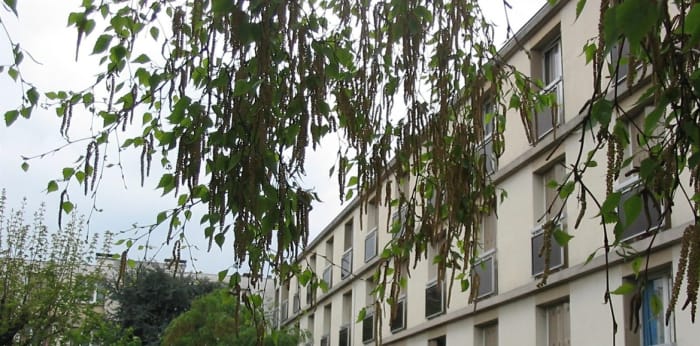 Image 1 sur 4 - Appartement  ·  Location · Clermont Ferrand (63000) · 1 pièce · 18m²