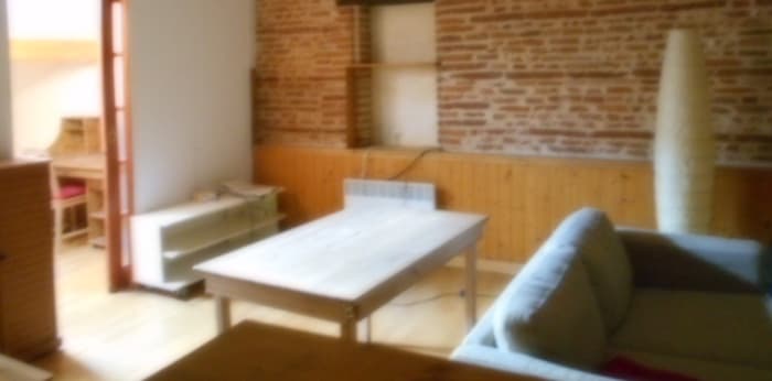 Image 1 sur 5 - Appartement  ·  Location · Toulouse (31000) · 3 pièces · 49m²