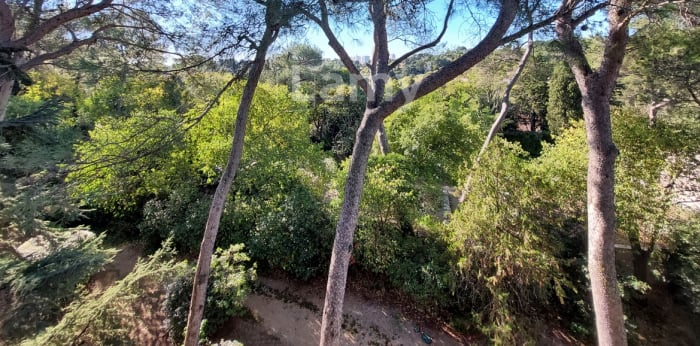 Image 11 sur 14 - Appartement  ·  Location · Nimes (30900) · 1 pièce · 24m²