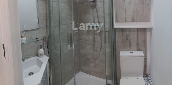 Image 5 sur 5 - Appartement  ·  Location · Nancy (54000) · 1 pièce · 28m²