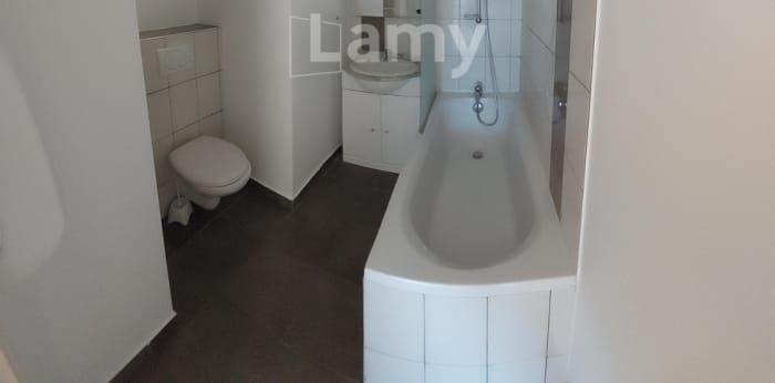 Image 5 sur 6 - Appartement  ·  Location · Nancy (54000) · 1 pièce · 16m²