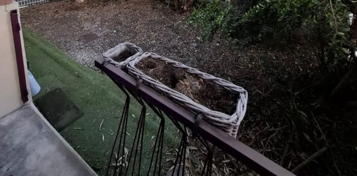 Image 2 sur 7 - Appartement  ·  Location · Toulouse (31200) · 58m²