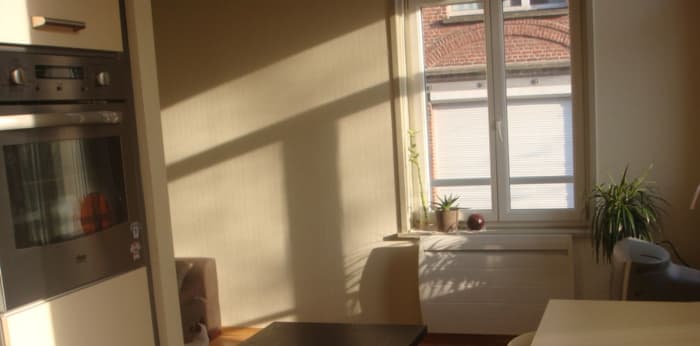 Image 1 sur 10 - Appartement  ·  Location · Lille (59000) · 2 pièces · 43m²