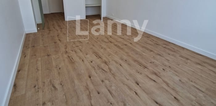 Image 4 sur 5 - Appartement  ·  Location · Lyon (69007) · 2 pièces · 55m²
