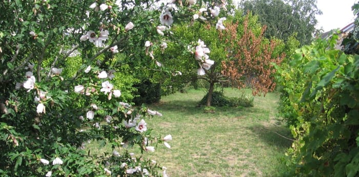 Image 2 sur 9 - Maison/villa  ·  Location · Tours (37000) · 5 pièces · 97m²