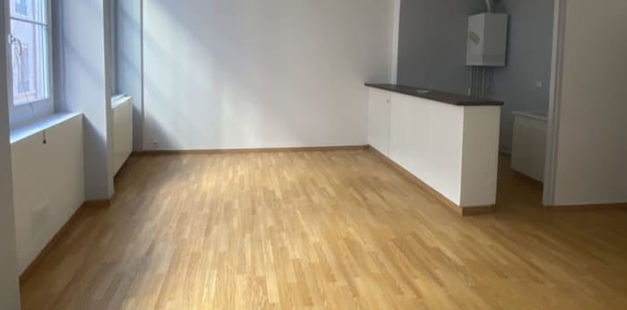 Image 2 sur 6 - Appartement  ·  Location · Lyon (69002) · 2 pièces · 54m²