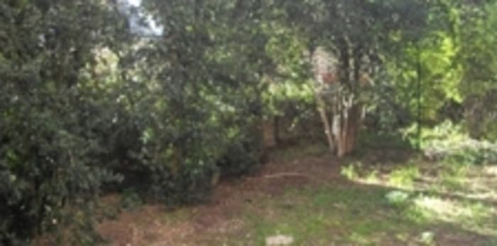 Image 5 sur 6 - Appartement  ·  Location · Montpellier (34090) · 1 pièce · 21m²