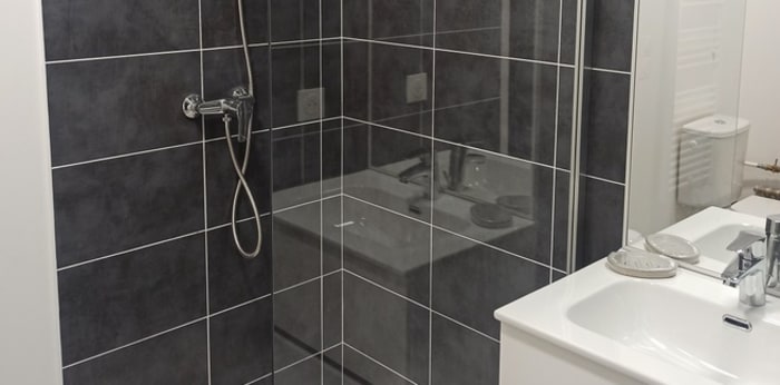 Image 3 sur 6 - Appartement  ·  Location · Lyon (69007) · 1 pièce · 18m²