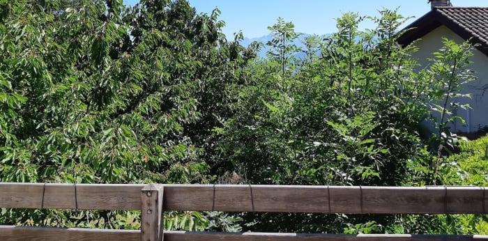 Image 8 sur 9 - Maison/villa  ·  Location · Seyssins (38180) · 2 pièces · 42m²