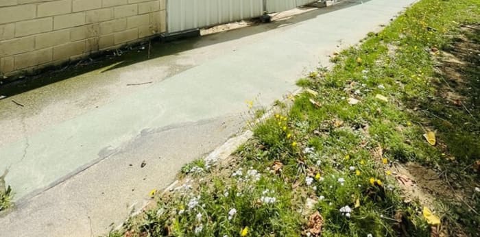 Image 1 sur 6 - Appartement  ·  Location · Crepy En Valois (60800) · 3 pièces · 67m²