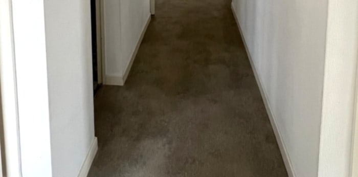 Image 11 sur 12 - Appartement  ·  Location · Horbourg Wihr (68180) · 4 pièces · 99m²