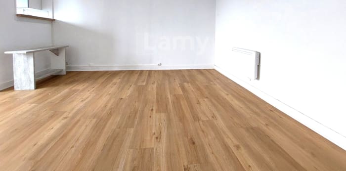 Image 4 sur 9 - Appartement  ·  Location · Limoges (87100) · 1 pièce · 38m²