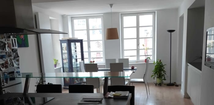 Image 8 sur 8 - Appartement  ·  Location · Mulhouse (68100) · 3 pièces · 127m²