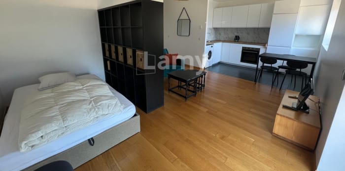 Image 2 sur 6 - Appartement  ·  Location · Lyon (69002) · 1 pièce · 32m²