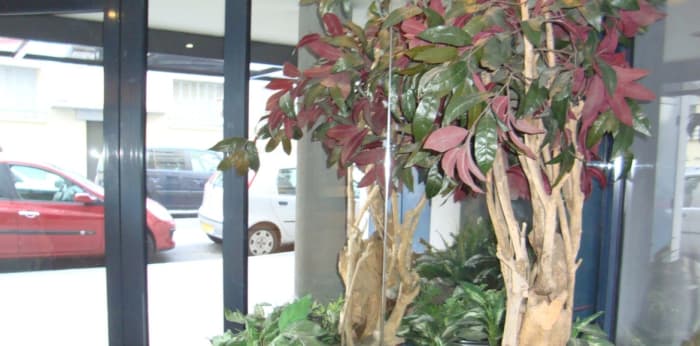 Image 6 sur 9 - Appartement  ·  Location · Lyon (69003) · 1 pièce · 35m²