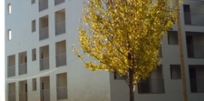 Image 5 sur 8 - Appartement  ·  Location · Lyon (69008) · 2 pièces · 45m²