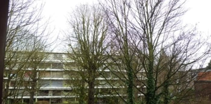 Image 5 sur 6 - Appartement  ·  Location · Lille (59000) · 1 pièce · 24m²