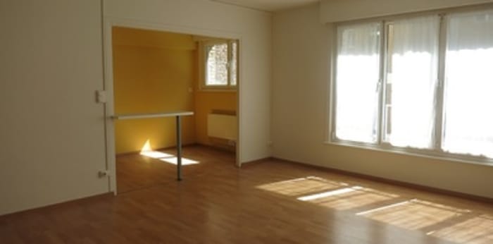Image 2 sur 5 - Appartement  ·  Location · Lille (59800) · 1 pièce · 41m²
