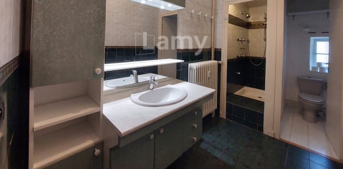 Image 8 sur 13 - Appartement  ·  Location · Grenoble (38000) · 5 pièces · 176m²