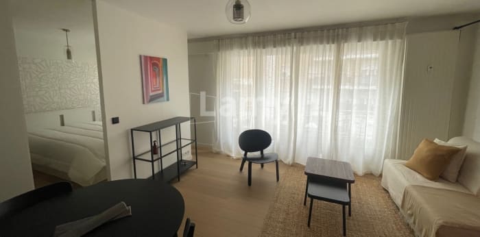 Image 2 sur 11 - Appartement  ·  Location · Lille (59800) · 1 pièce · 41m²