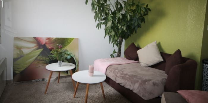 Image 4 sur 5 - Appartement  ·  Location · Toulouse (31200) · 38m²