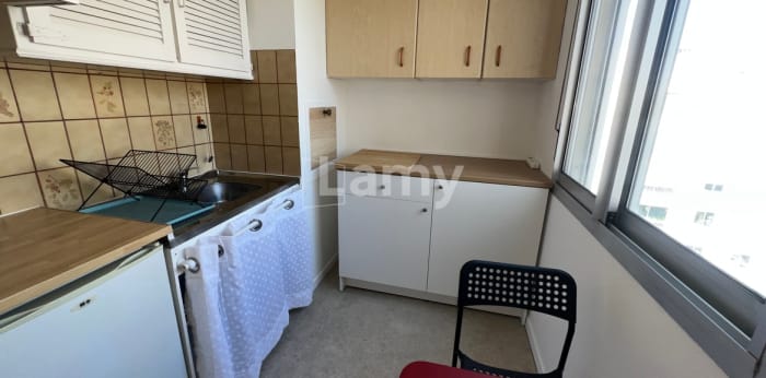 Image 1 sur 8 - Appartement  ·  Location · Lyon (69007) · 1 pièce · 30m²